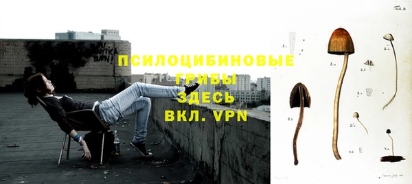 мяу мяу мука Куйбышев
