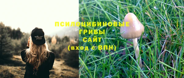 ALPHA PVP Кулебаки