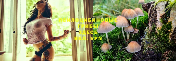ALPHA PVP Кулебаки