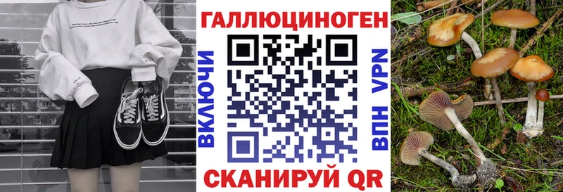 Купить  Серов  Галлюциногенные грибы ЛСД 